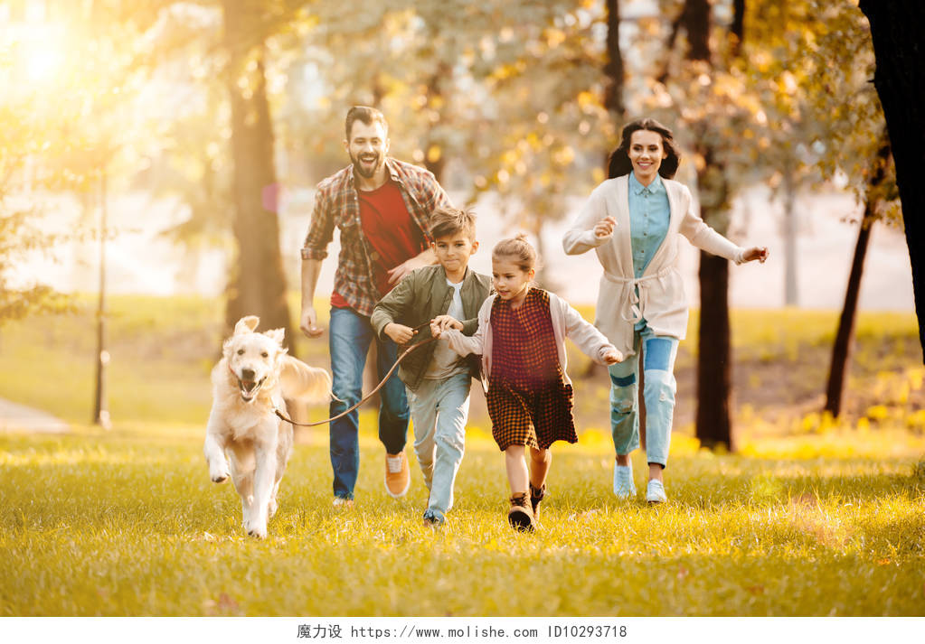 家庭与狗在草地上奔跑幸福的人美好童年亲子跑步健身运动